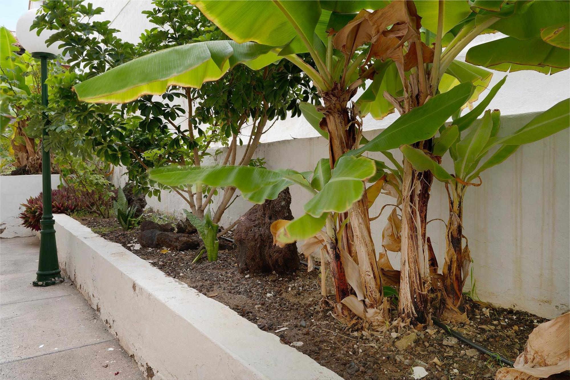 Apartamento Dunia San Agustín Esterno foto